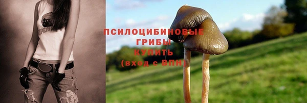 дживик Алзамай