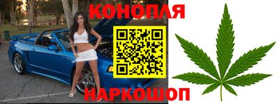 мяу мяу мука Жуковский