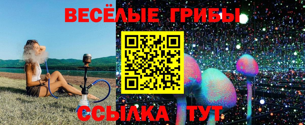 Крымск  Галлюциногенные грибы Psilocybe  Вход с VPN 